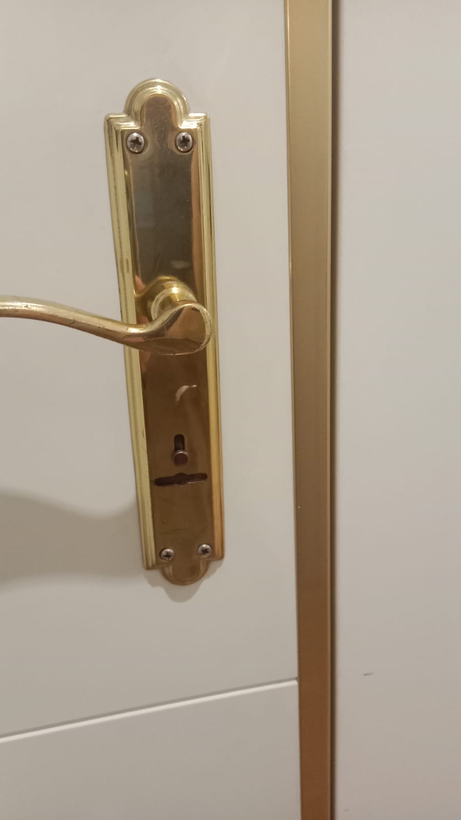Cerradura de gorjas antigua sustituida por perfil europeo certificado en Madrid — Tecni-Seguridad Anival